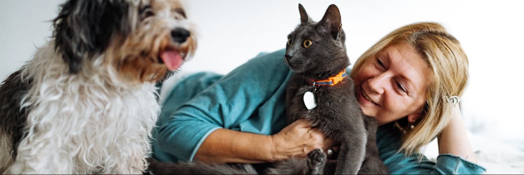 Image for Volunteer Dog Trainer