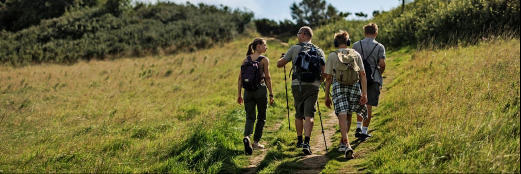 Image for Drug Educator